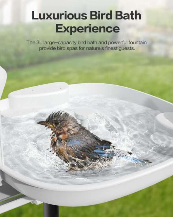 Baño solar para pájaros con cámara 2K, flujo automático de agua y detección de especies por IA.