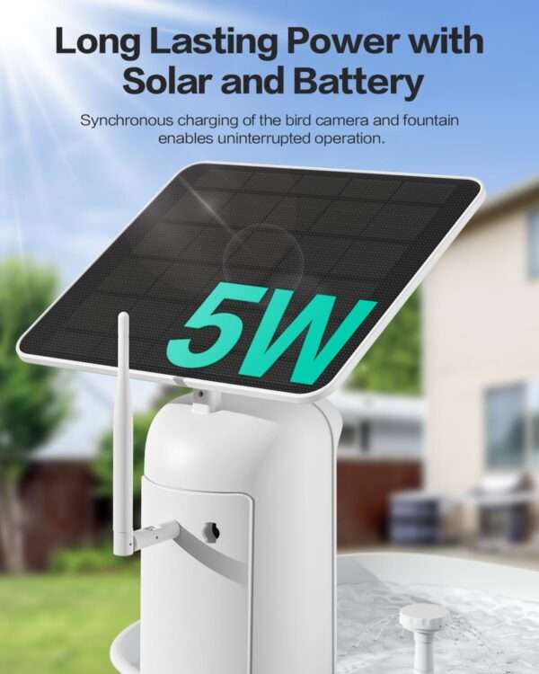 Baño solar para pájaros con cámara 2K, flujo automático de agua y detección de especies por IA.
