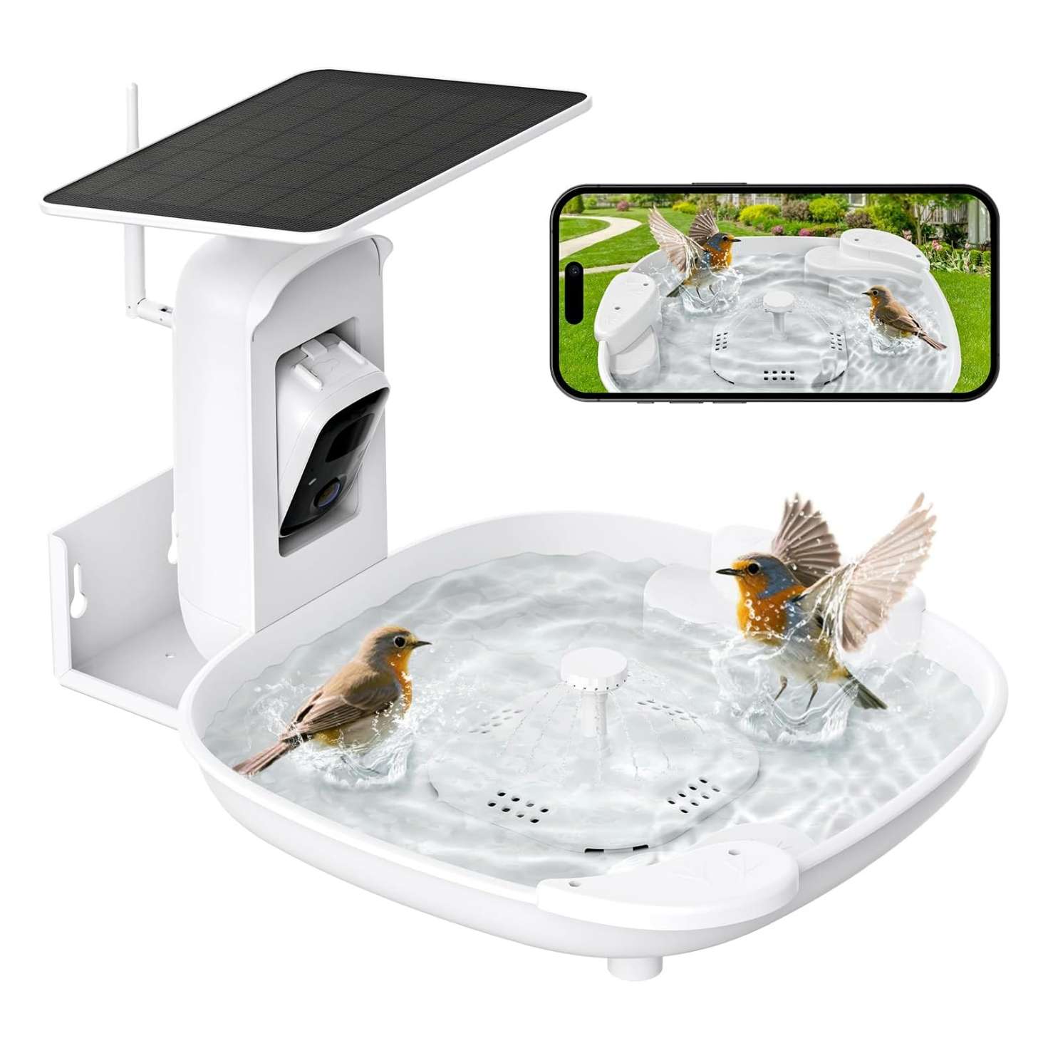 Baño solar para pájaros con cámara 2K, flujo automático de agua y detección de especies por IA.