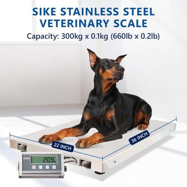 Báscula veterinaria de suelo de 660 lb. Plataforma de acero inoxidable profesional y resistente para animales grandes y ganado.