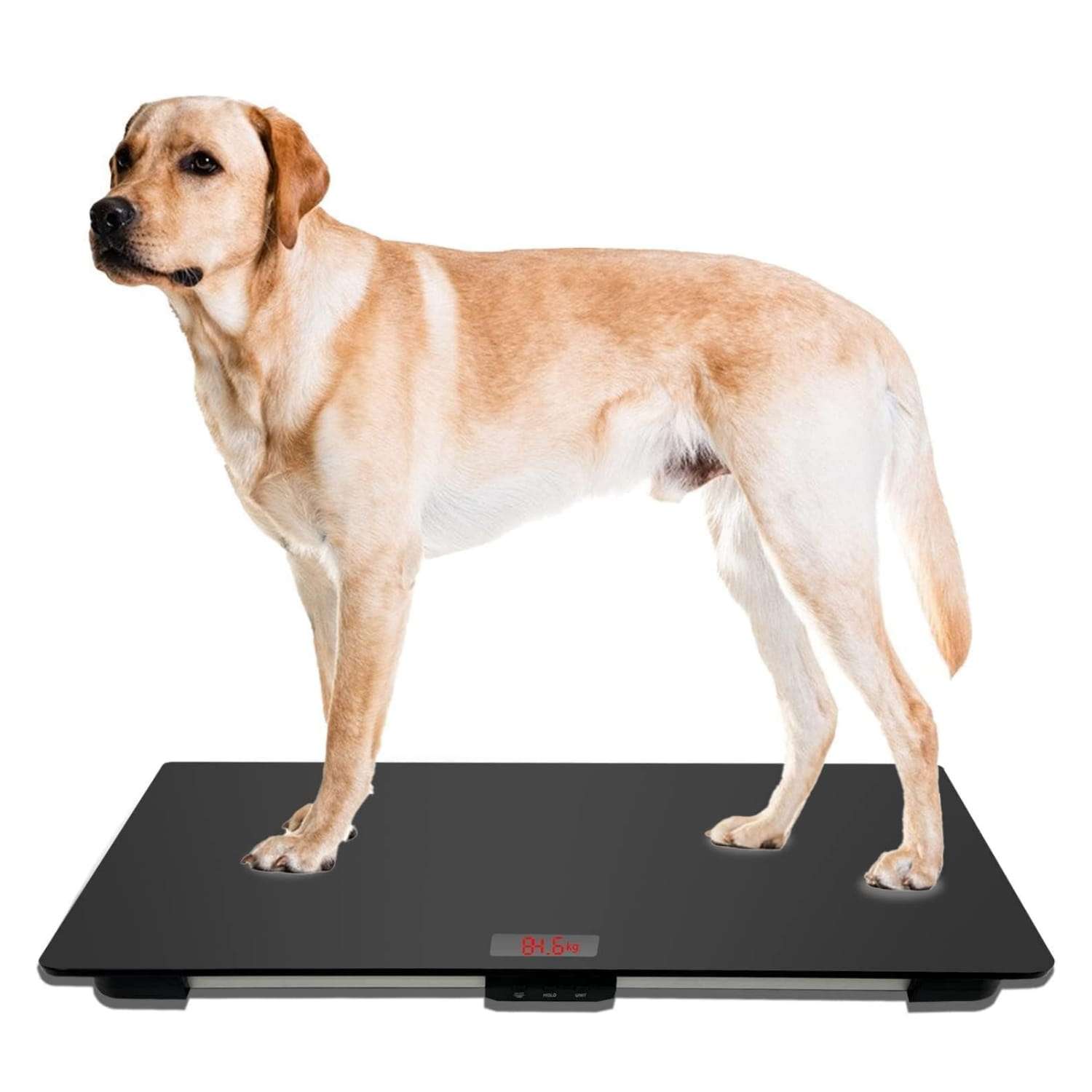 Bascula digital amplia para perros de razas grandes con tapete antideslizante y vidrio templado.