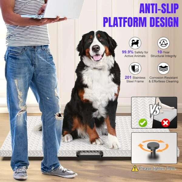 Báscula de precisión grande para perros y ganado. Plataforma de acero inoxidable antideslizante con capacidad de 1100 lb, ideal para uso veterinario y de granja en Chile.