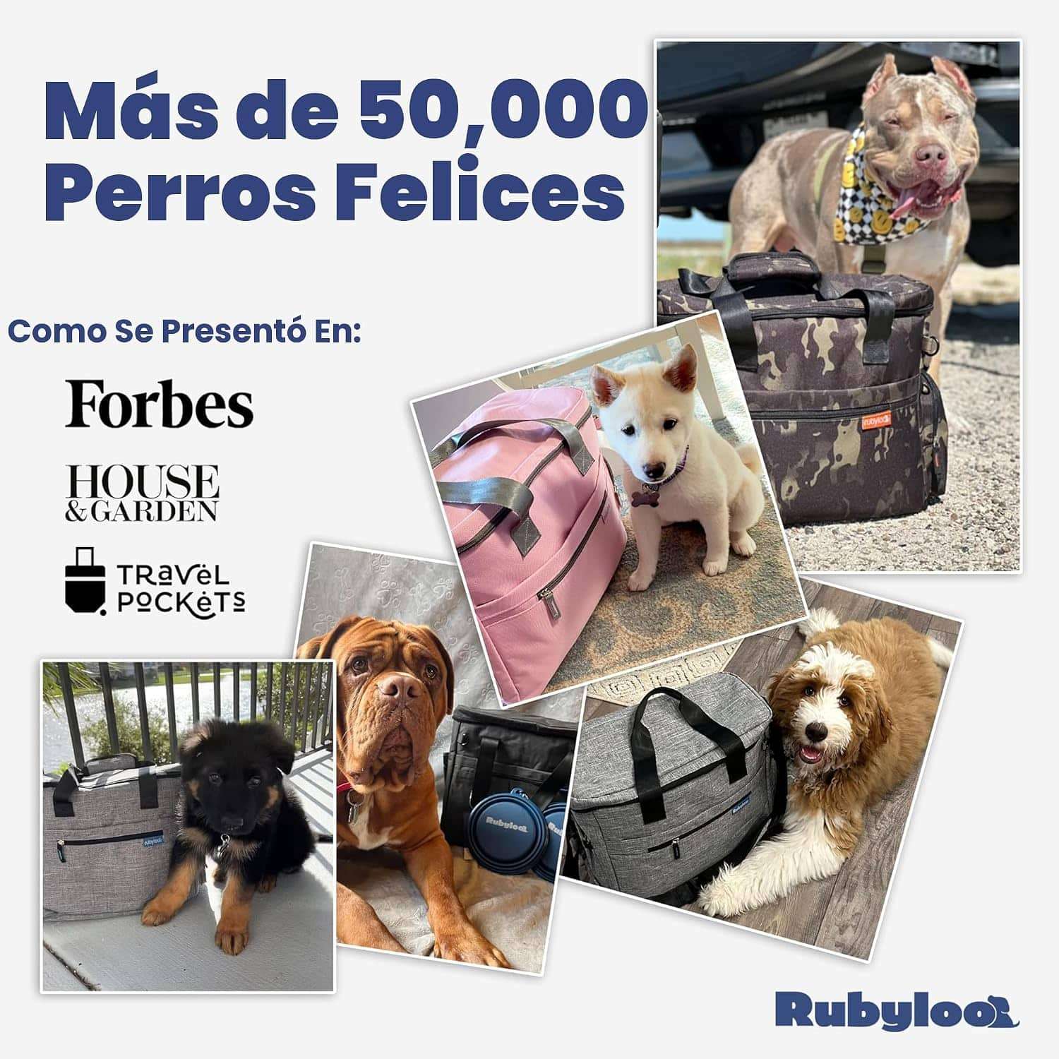 Bolsa de viaje para perros y gatos. Kit organizador con cuencos de viaje, contenedor de comida y accesorios.