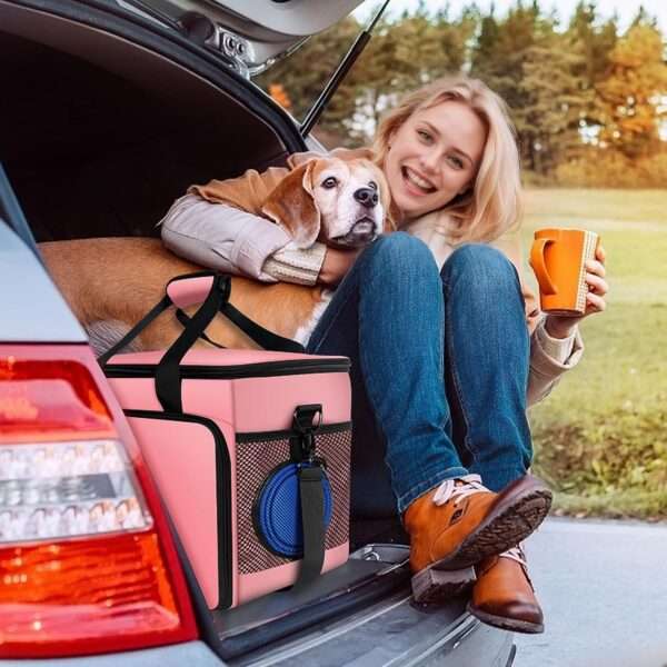 Bolsa de viaje para perros y gatos. Kit de 6 piezas con cuencos plegables, contenedores de comida y otros accesorios.