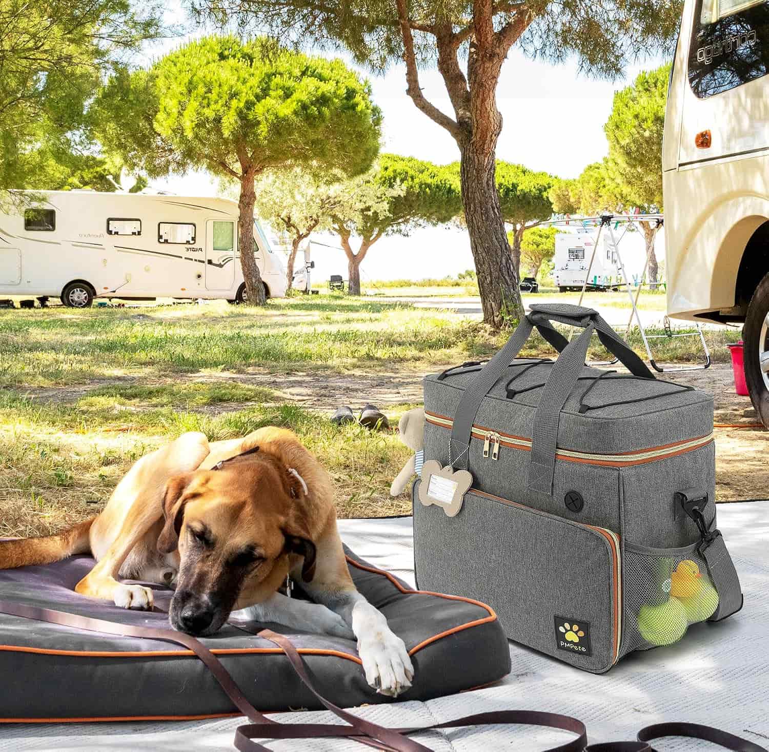 Bolsa de viaje multifuncional para perros y gatos, ideal para escapadas de fin de semana.