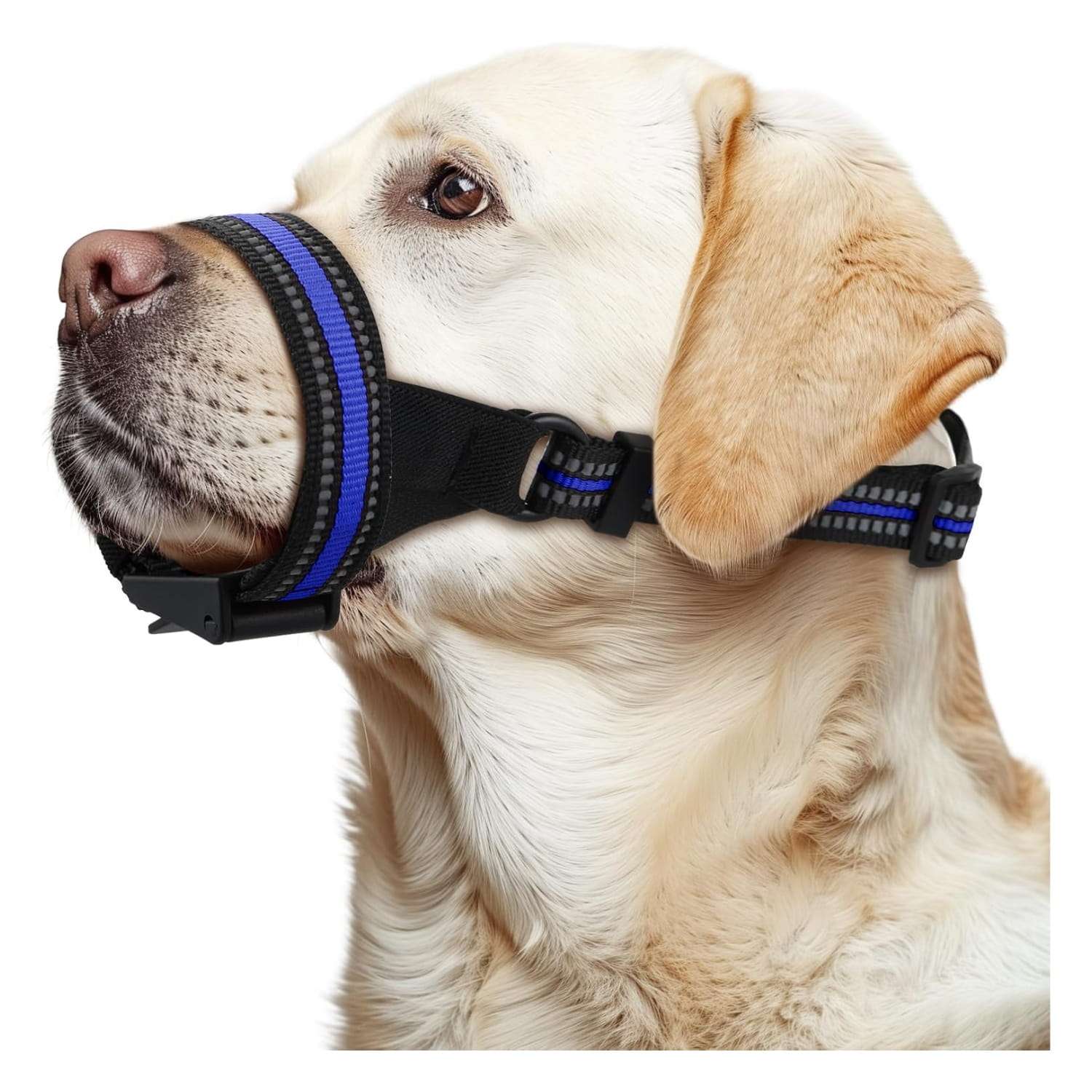 Bozal suave y transpirable para perros de distintos tamaños.