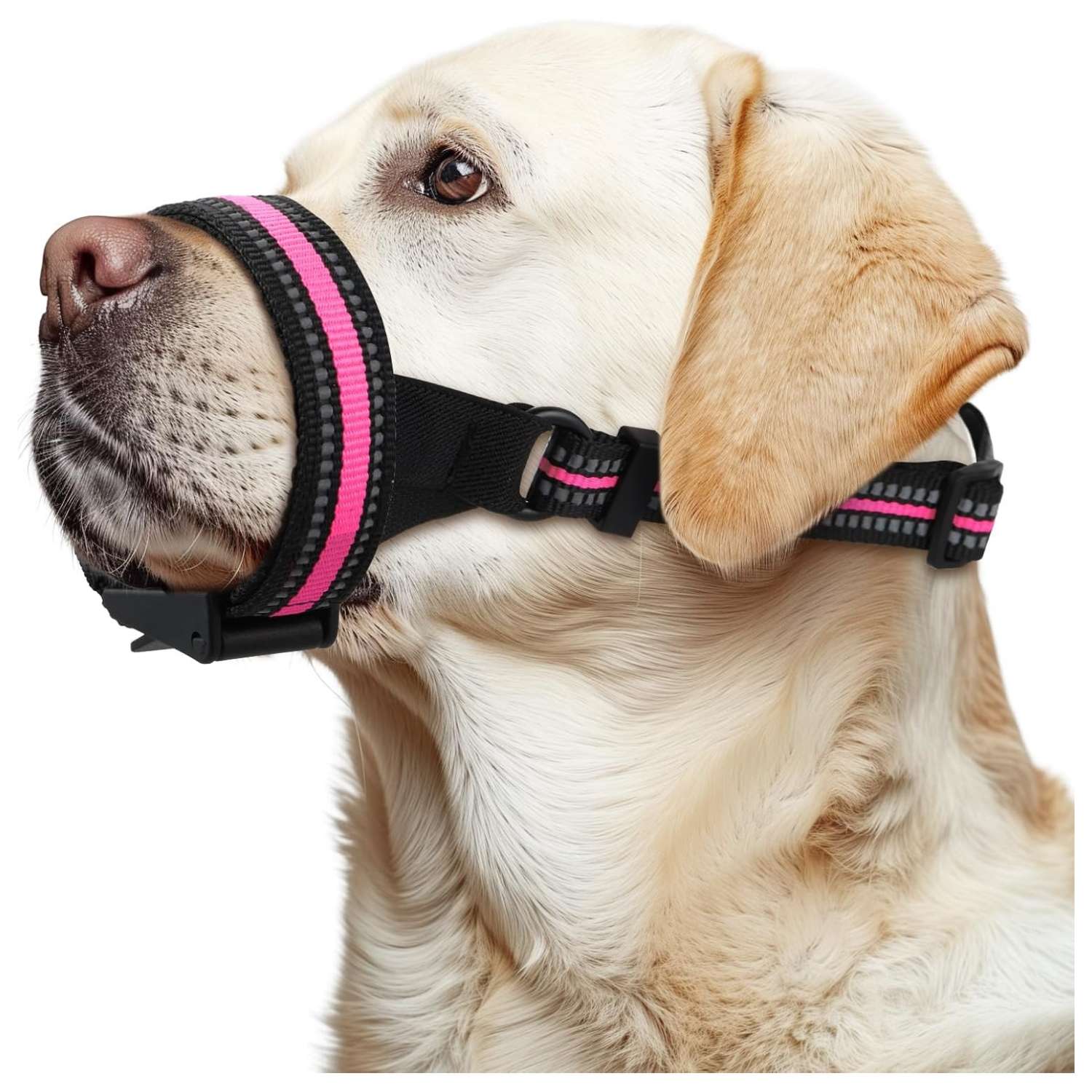 Bozal suave y transpirable para perros de distintos tamaños.