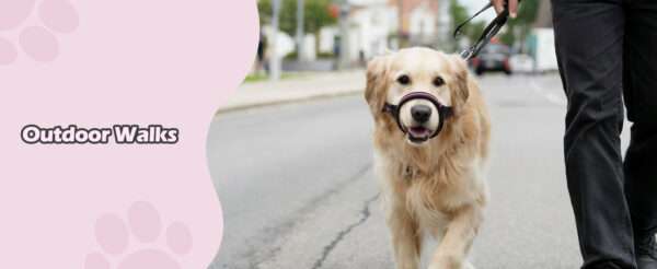 Bozal suave y transpirable para perros de distintos tamaños.