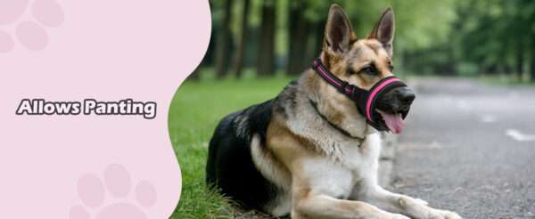 Bozal suave y transpirable para perros de distintos tamaños.