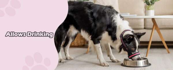 Bozal suave y transpirable para perros de distintos tamaños.