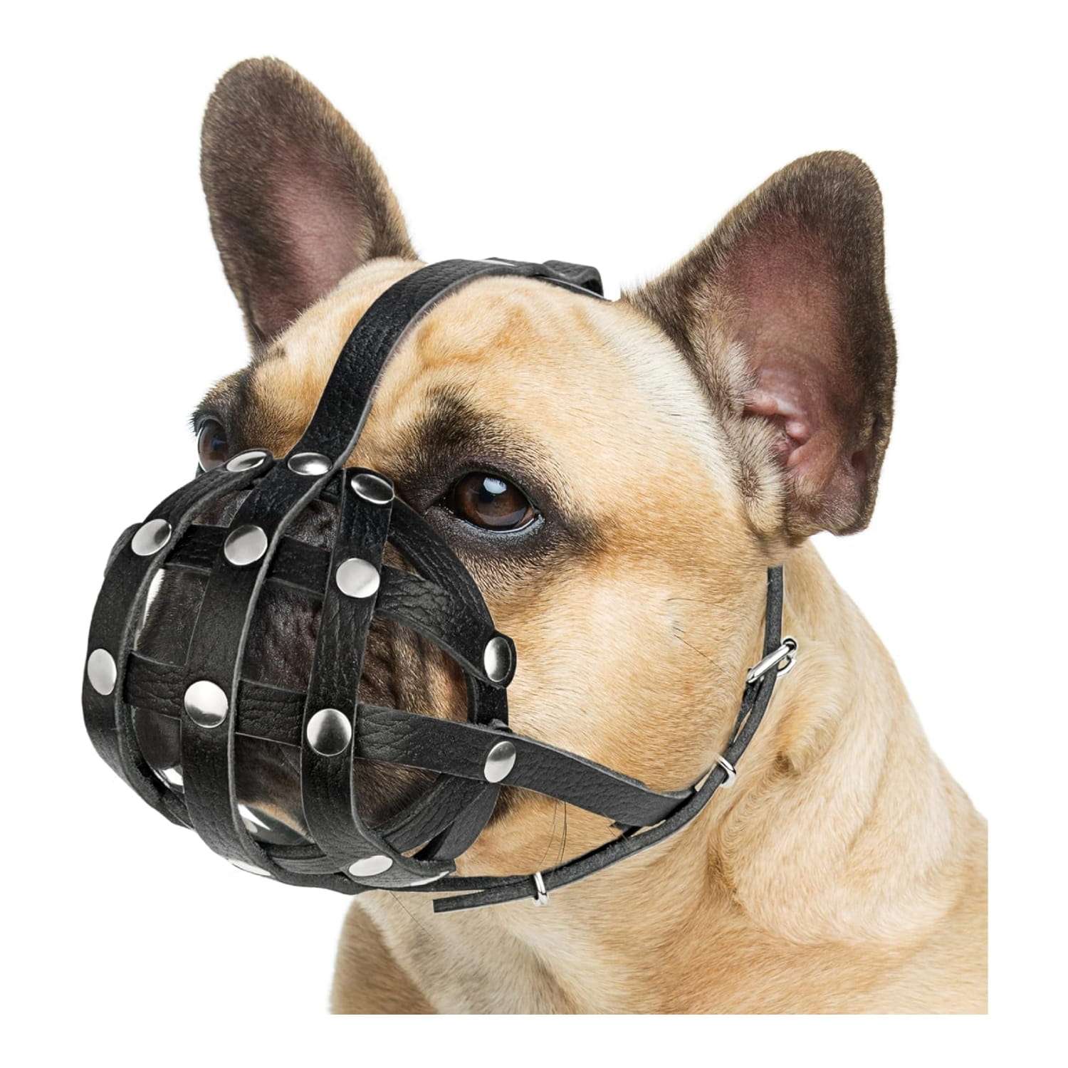 Bozal de cuero suave para perro de hocico chato, ideal para razas como el bulldog y pug.