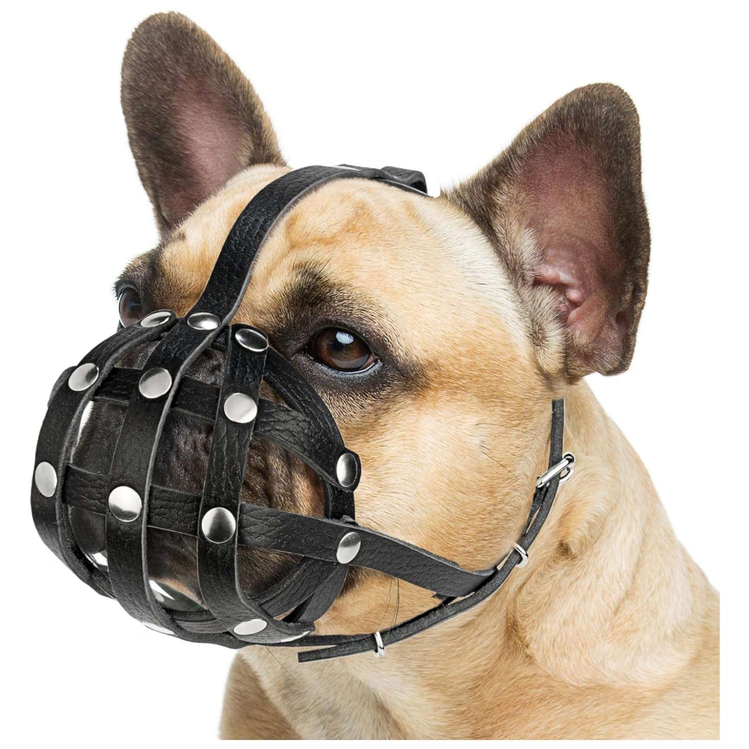 Bozal de cuero suave para perro de hocico chato, ideal para razas como el bulldog y pug.