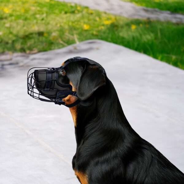Bozal de metal de cesta de alambre para perros grandes.