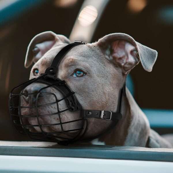 Bozal de metal de cesta de alambre para perros grandes con correas de cuero.