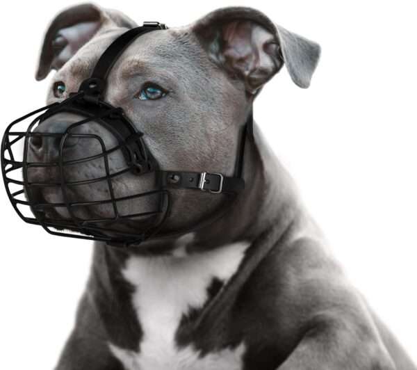 Bozal de metal de cesta de alambre para perros grandes con correas de cuero.