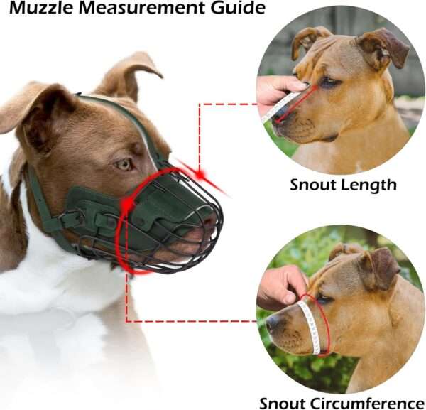 Bozal de cesta de metal para Pitbull. Es un bozal que permite jadear y beber.