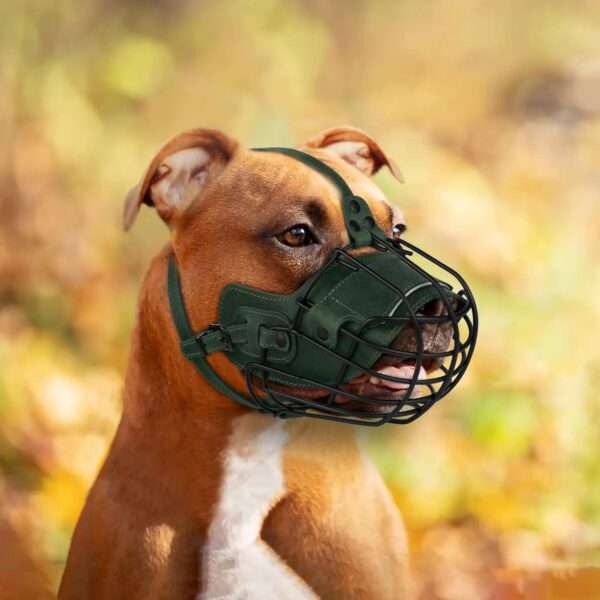 Bozal de cesta de metal para Pitbull. Es un bozal que permite jadear y beber.