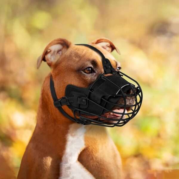 Bozal de cesta de metal para Pitbull. Es un bozal que permite jadear y beber.