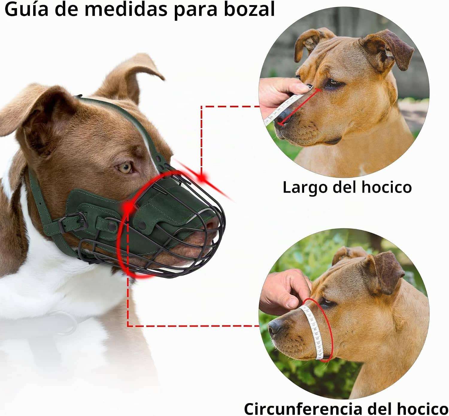 Bozal de cesta de metal para Pitbull. Es un bozal que permite jadear y beber.