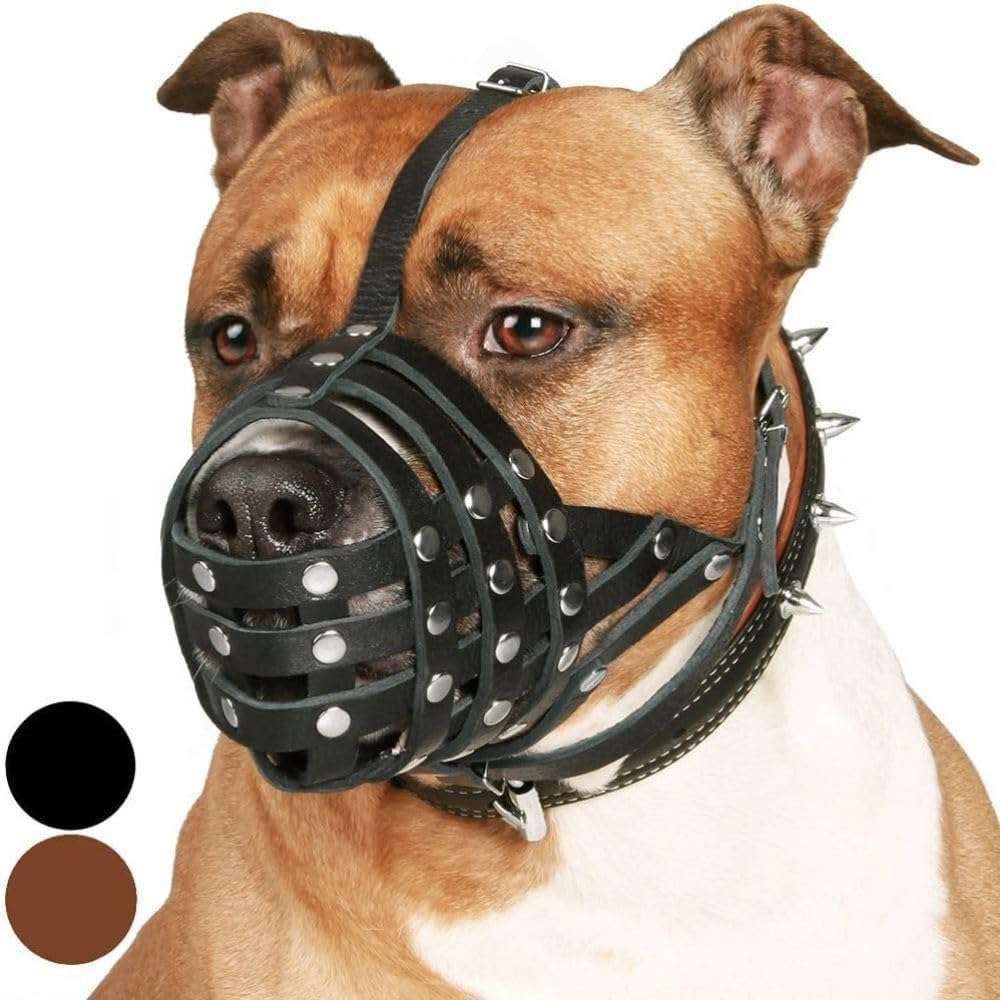 Bozal de cuero de cesta para perros Amstaff y Staffordshire. Es un bozal que permite jadear y beber.