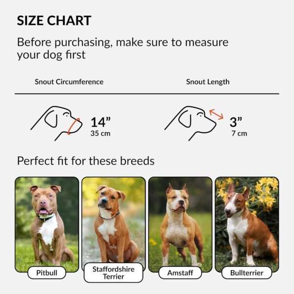 Bozal de cuero de cesta para perros Amstaff y Staffordshire. Es un bozal que permite jadear y beber.