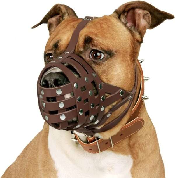 Bozal de cuero de cesta para perros Amstaff y Staffordshire. Es un bozal que permite jadear y beber.