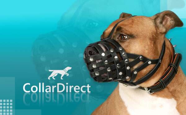 Bozal de cuero de cesta para perros Amstaff y Staffordshire. Es un bozal que permite jadear y beber.