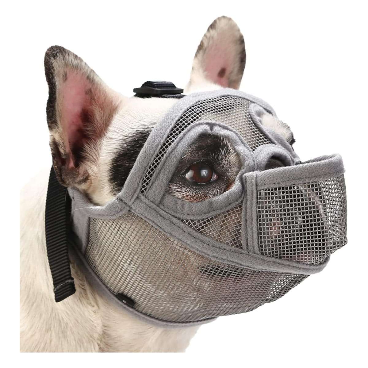Bozal de malla transpirable para perros de hocico chato, ideal para razas como el bulldog y pug.