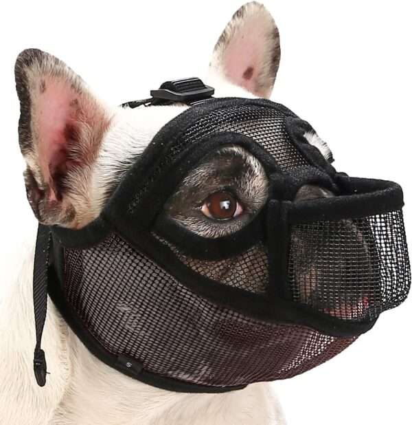 Bozal de malla transpirable para perros de hocico chato, ideal para razas como el bulldog y pug.