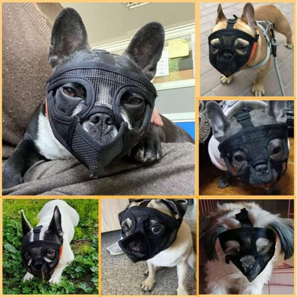 Bozal de malla transpirable para perros de hocico chato, ideal para razas como el bulldog y pug.