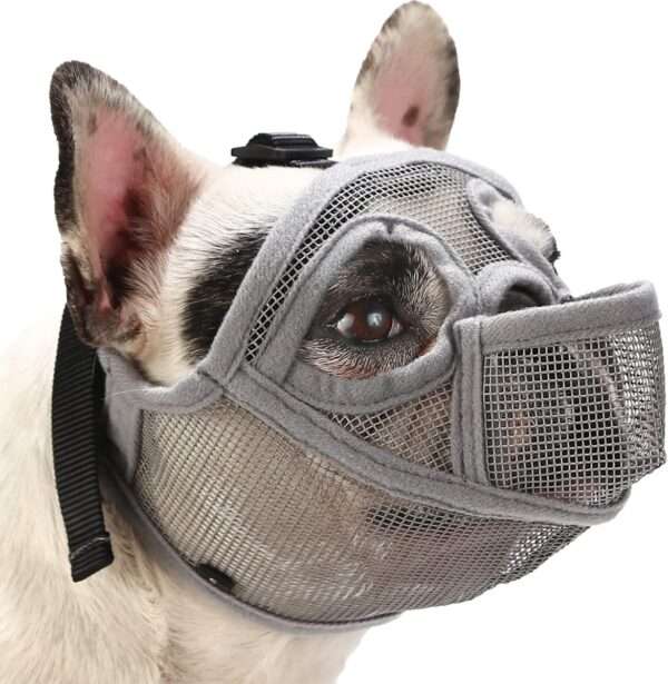 Bozal de malla transpirable para perros de hocico chato, ideal para razas como el bulldog y pug.