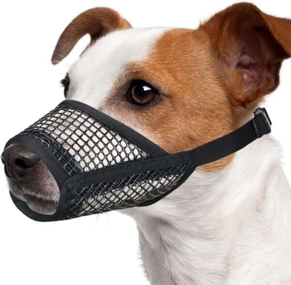 Bozal de Malla para Perros | Bozal Transpirable y Ajustable Antiladridos - Image 12