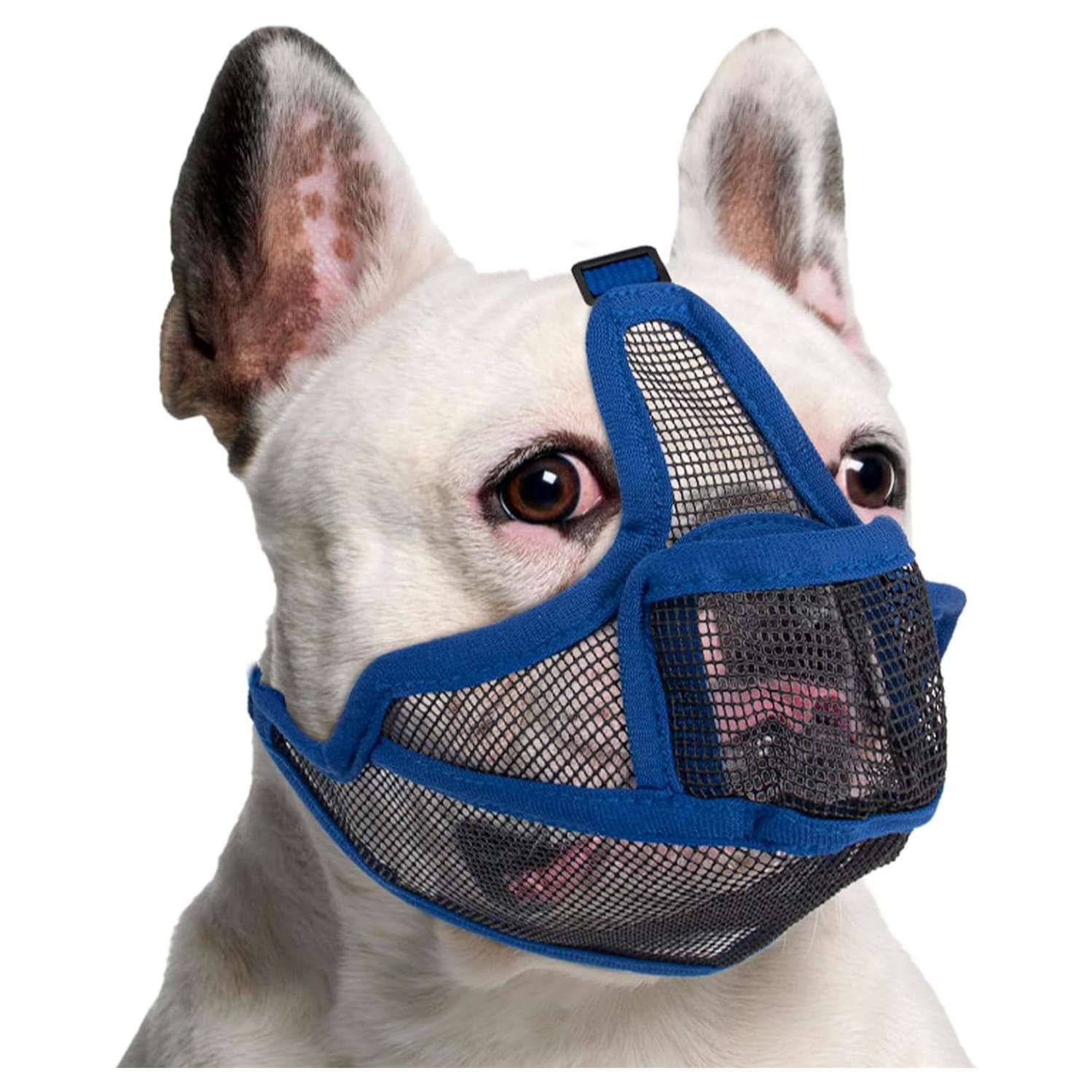 Bozal de malla para perros de hocico corto, como Bulldog Francés. Es un bozal transpirable.