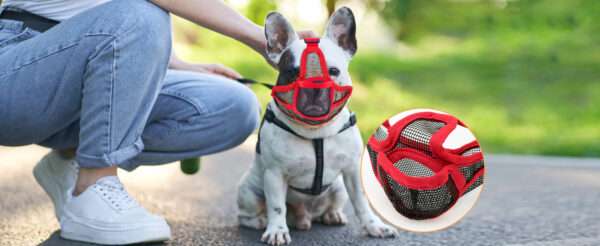Bozal de malla para perros de hocico corto, como Bulldog Francés. Es un bozal transpirable.