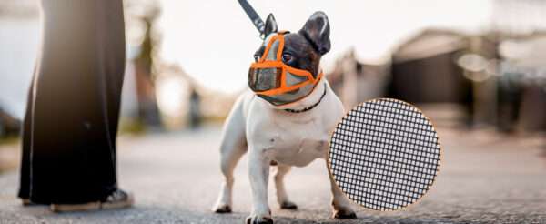 Bozal de malla para perros de hocico corto, como Bulldog Francés. Es un bozal transpirable.