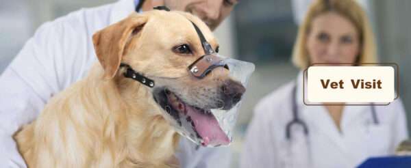 Bozal de PVC vinilo resistente y transpirable para perros grandes.