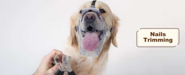 Bozal de PVC vinilo resistente y transpirable para perros grandes.