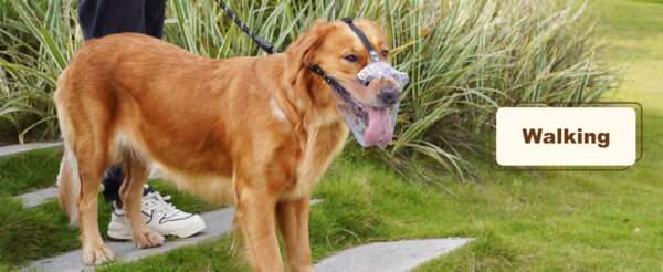 Bozal de PVC vinilo resistente y transpirable para perros grandes.