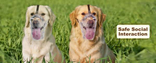 Bozal de PVC vinilo resistente y transpirable para perros grandes.