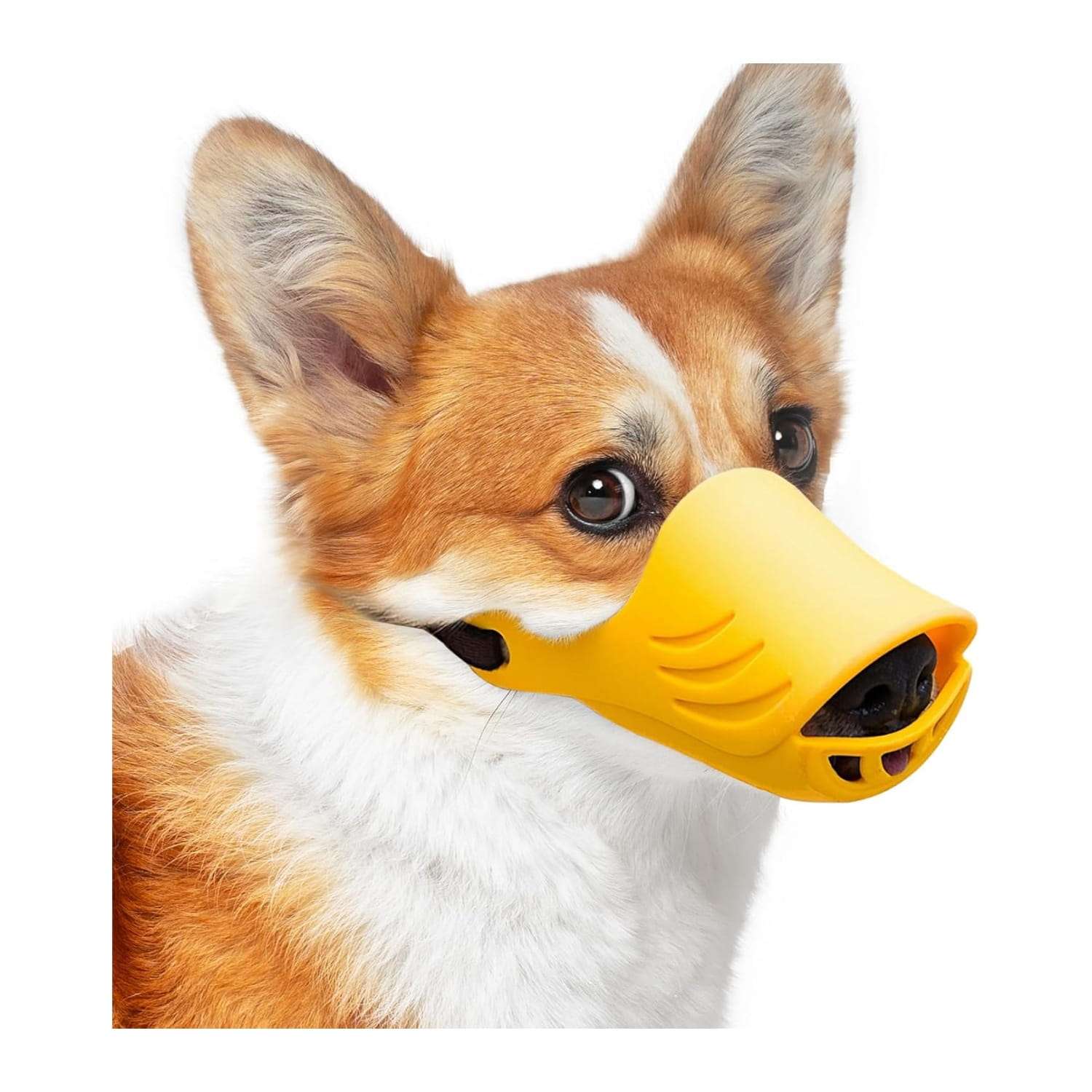 Bozal de silicona suave con diseño de pato para perros pequeños y medianos.