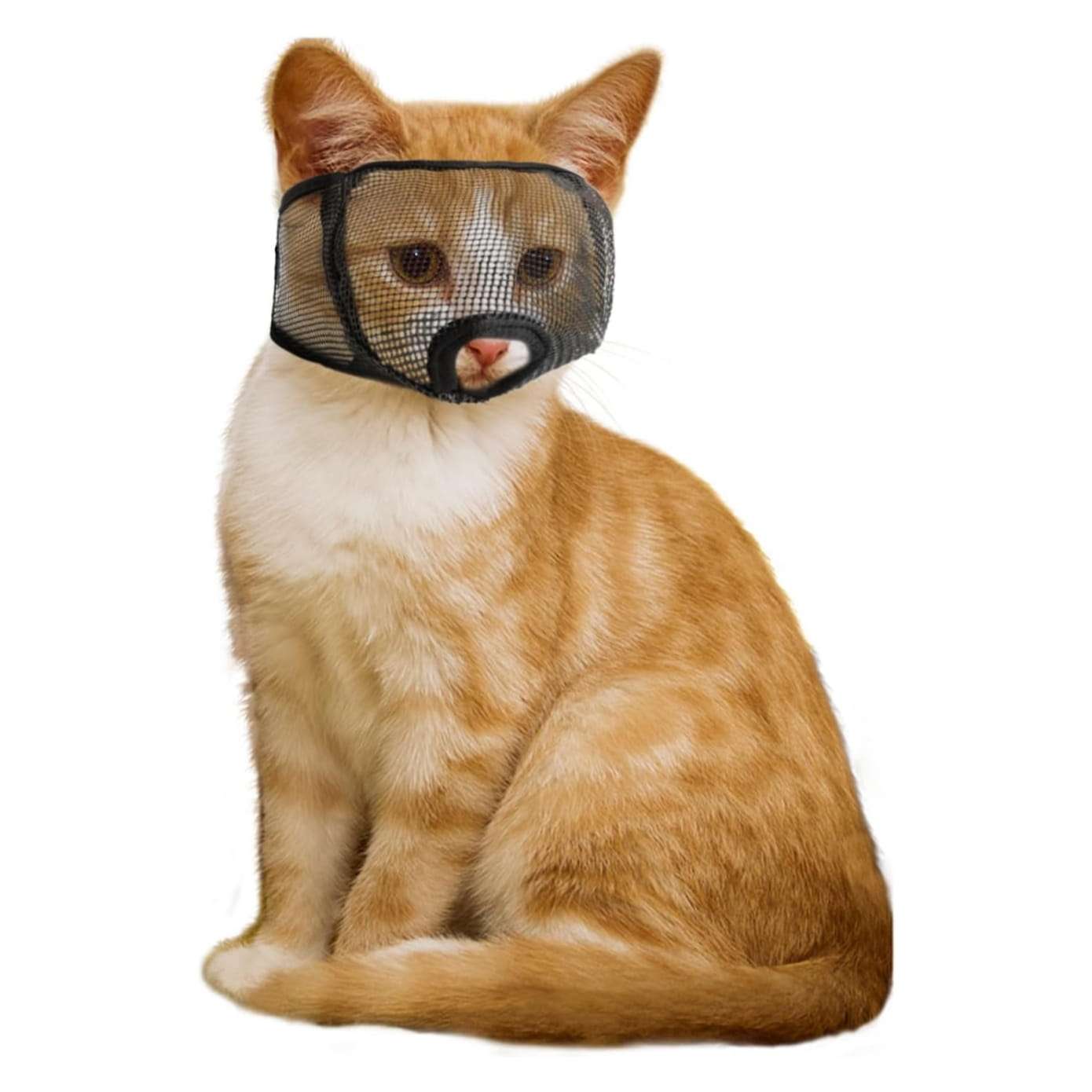 Bozal de malla suave para gatos, para aseo y para recortar uñas.