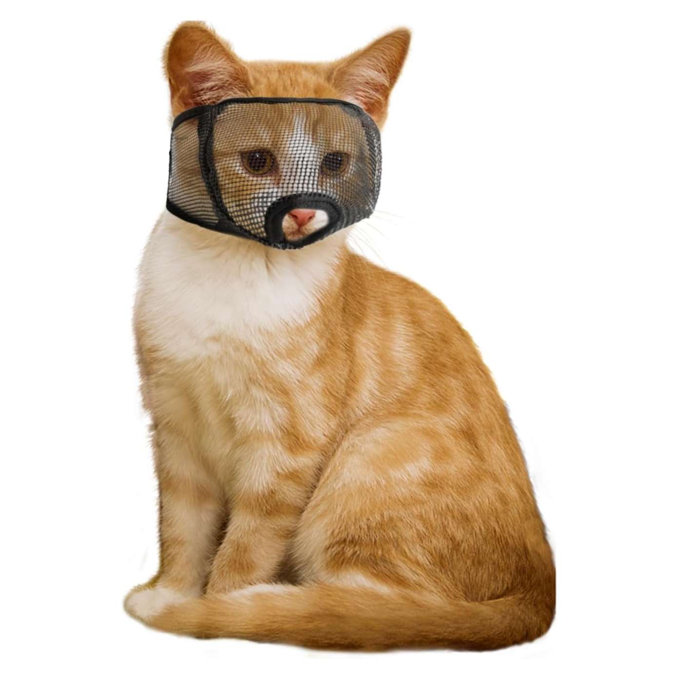 Bozal de malla suave para gatos, para aseo y para recortar uñas.