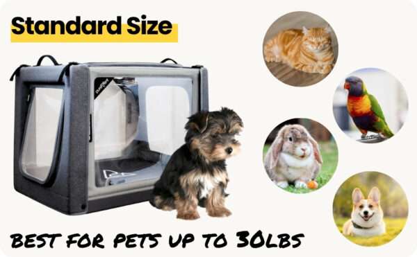 Cámara de oxígeno para mascotas, terapia de oxígeno para perros, gatos y pájaros.