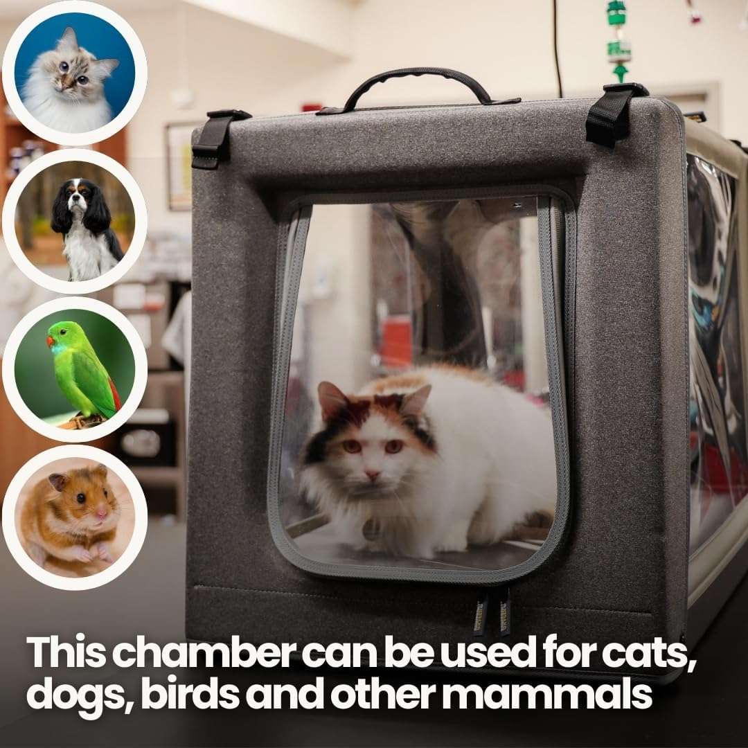 Camara de oxigeno plegable y transparente para la terapia respiratoria de mascotas.