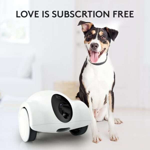Cámara inteligente para mascotas con dispensador de golosinas, robot móvil, Full HD 1080P, Wi-Fi y visión nocturna.