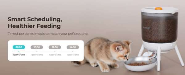Comedero automático para gatos, programable, con doble fuente de alimentación y capacidad de 3 litros en Chile.