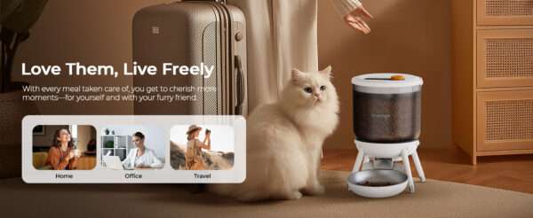 Comedero automático para gatos, programable, con doble fuente de alimentación y capacidad de 3 litros en Chile.