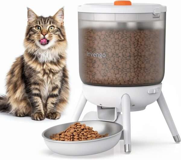 Comedero automático para gatos, programable, con doble fuente de alimentación y capacidad de 3 litros en Chile.