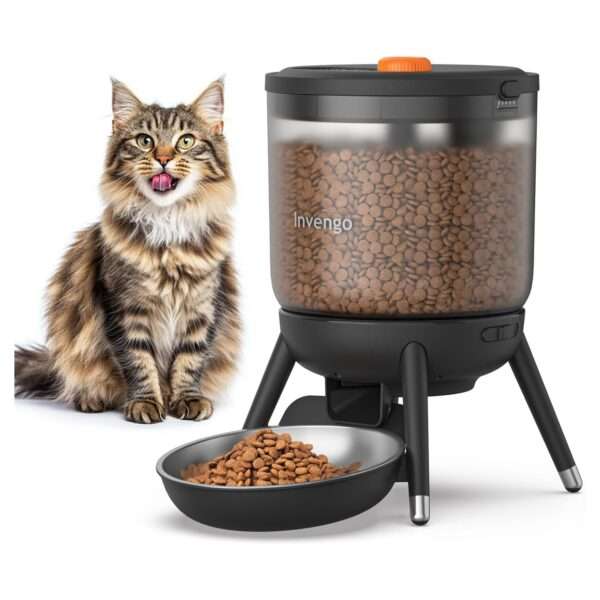 Comedero automático para gatos, programable, con doble fuente de alimentación y capacidad de 3 litros en Chile.