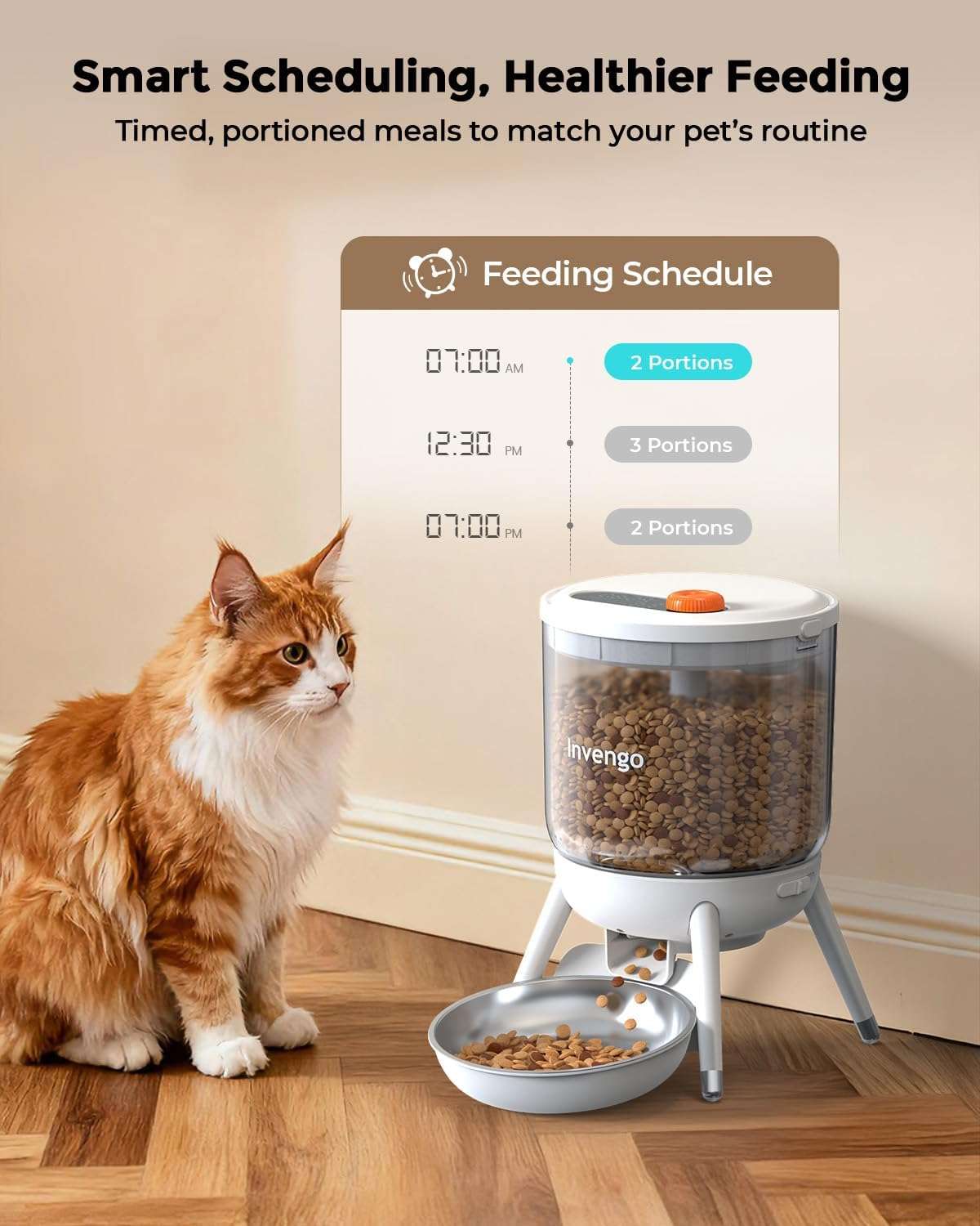 Comedero automático para gatos, programable, con doble fuente de alimentación y capacidad de 3 litros en Chile.